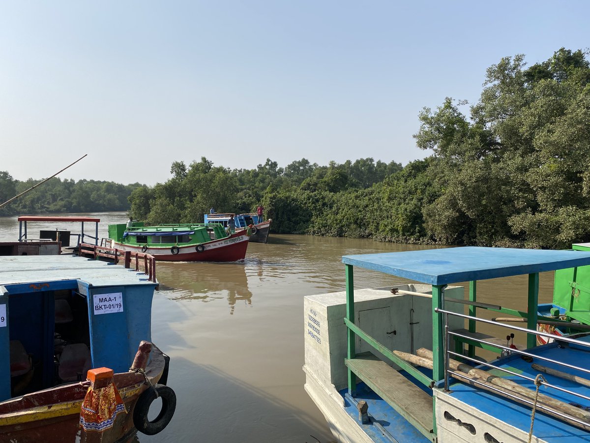 manas_muduli's tweet photo. Did you know, #Khola - One of the entry points to Bhitarakanika, is a man-made creek!! 

It was dug by the then Kanika king who used to come to Bhitarakanika for hunting.

ଖୋଳା ଯାଇଥିବାରୁ, ସେଇ ଦିନରୁ ଏହାର ନାଁ ଖୋଳା ରହିଛି!! https://t.co/0NqPblhAtV