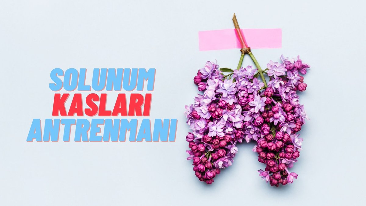 egzersizm's tweet photo. Solunum Kasları Antrenmanlarının Performans Üzerine Etkisi

✍️Ozan Kumbasar

 https://t.co/SMCutZcWAd

 #Antrenman #Futbol #GençSporcular #SolunumKaslarıAntrenmanı https://t.co/pgsOc8vyCl