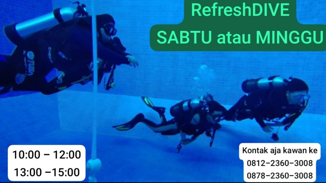 globaldive_id's tweet photo. Ayooo Guy's REFRESH buat yang sudah Certified biar makin OK skills nya...
Klo belum bisa Gabung Ikutan Belajar Diving yuuuk...
Teori Online &amp; Tonton Video
Praktek Kolam
Diskusi Teori
dan Ujian Openwater
Ok ya Guy's...
😊👌🏼😍
👌🏾
WA aja ke 
0812-2360-3008
0878-2360-3008 https://t.co/B6mOmDKftj