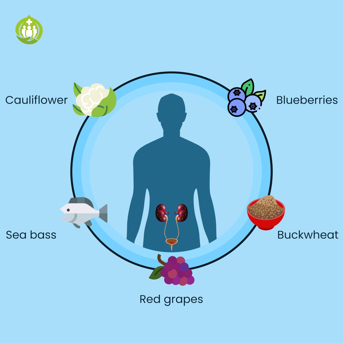 BhargavaDoctor's tweet photo. These nutrient-packed foods support kidney health by providing essential vitamins and antioxidants. 🌿
.
#kidney #Health #TNwithModi #IncreaseRailwayALPVacancy #जयश्रीराम #FoodBank #feedtheneedy https://t.co/Fg77SsO8kJ