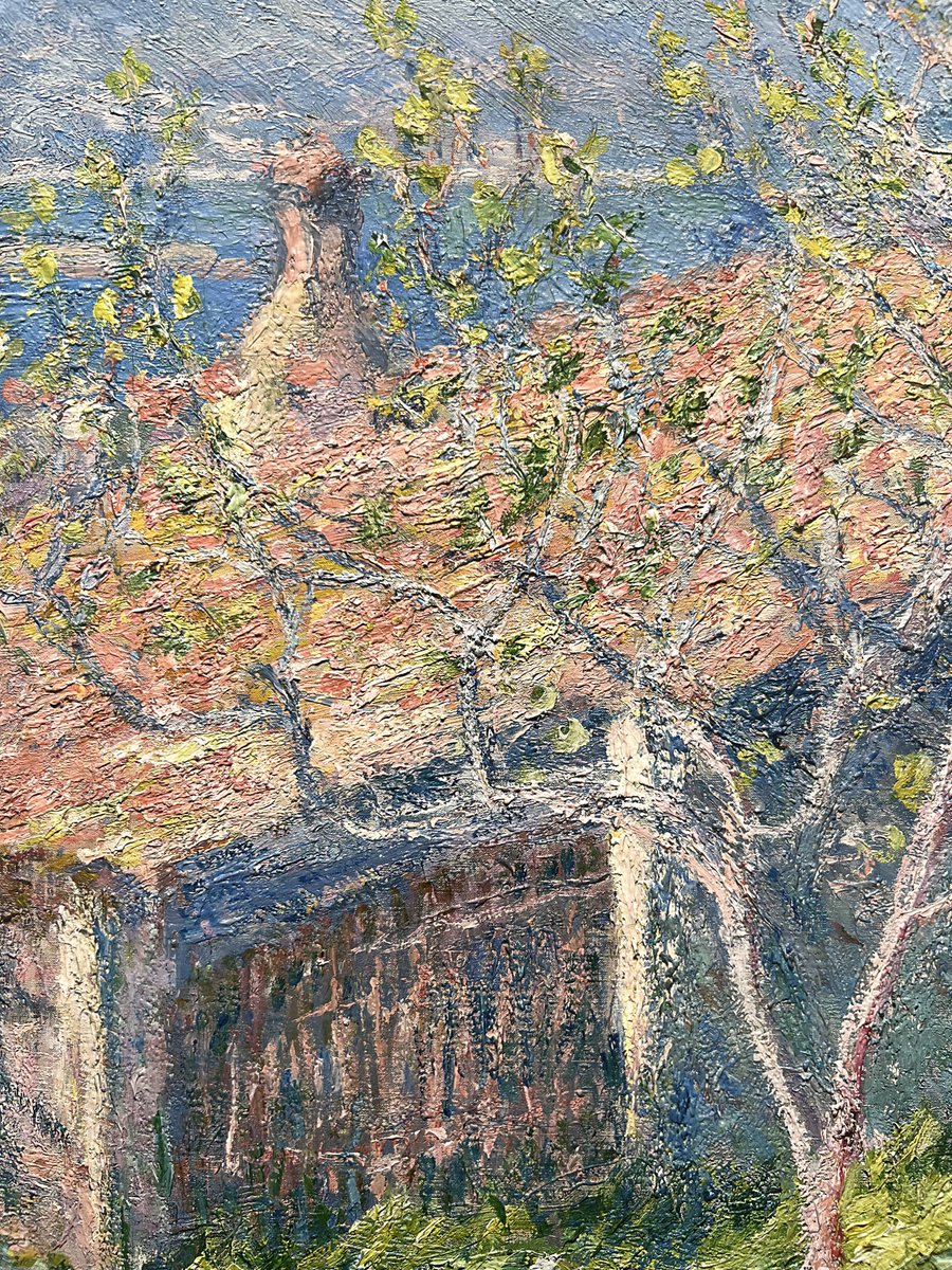 스즈코 tweet media