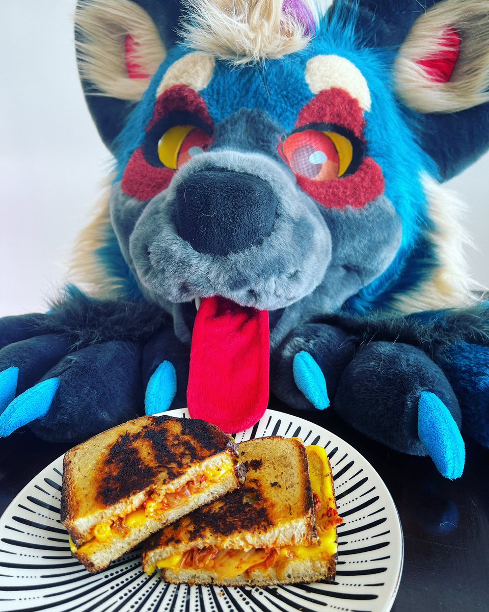 Happy #FursuitFriday! Come share this #vegan #grilledkimcheese sandwich with an #africanwilddog?