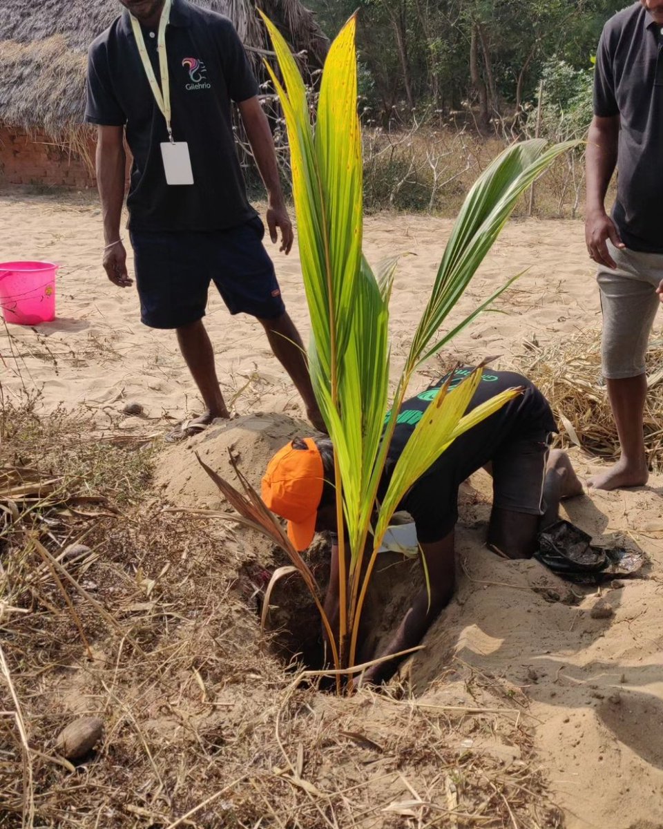 gilehrio's tweet photo. "Planting the Seeds of Change! 🌿 we at Gilehrio believes in giving back to nature. #ecotourism #Plantation #sustainabletourism #odishatourism https://t.co/DMk5fC6cp2