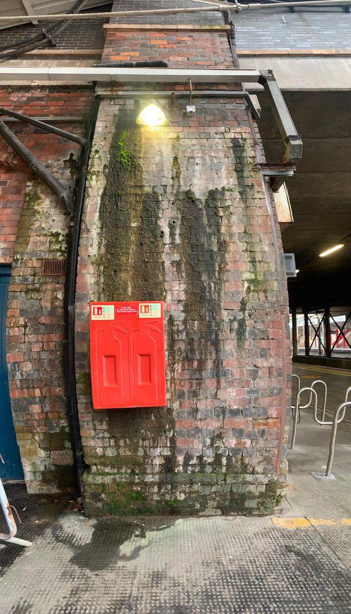 Aaron Bradshaw tweet media