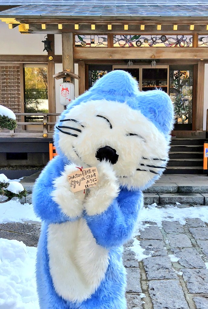 全国𓃠猫の守護神 猫が集まる神社 ⛩三戸大神宮 願いは叶います✨ #三