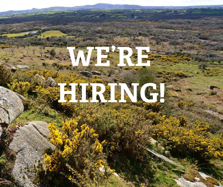 Are you passionate about conservation and practical land management? We are seeking a dedicated individual to take on the role of Helman Tor Reserves Officer 
👉 buff.ly/3vDxNHY 

#Cornwall #Cornwalljobs #Environmentjobs #Conservationjobs #Wildlifejobs #Wildlife