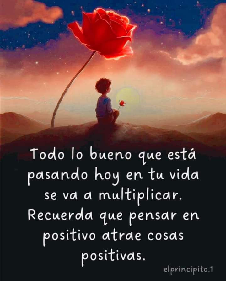 VidaEquilibrada tweet media