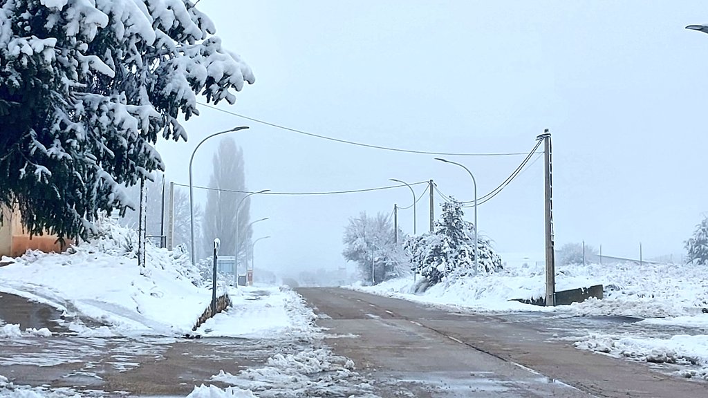 Isaac🌾 tweet media