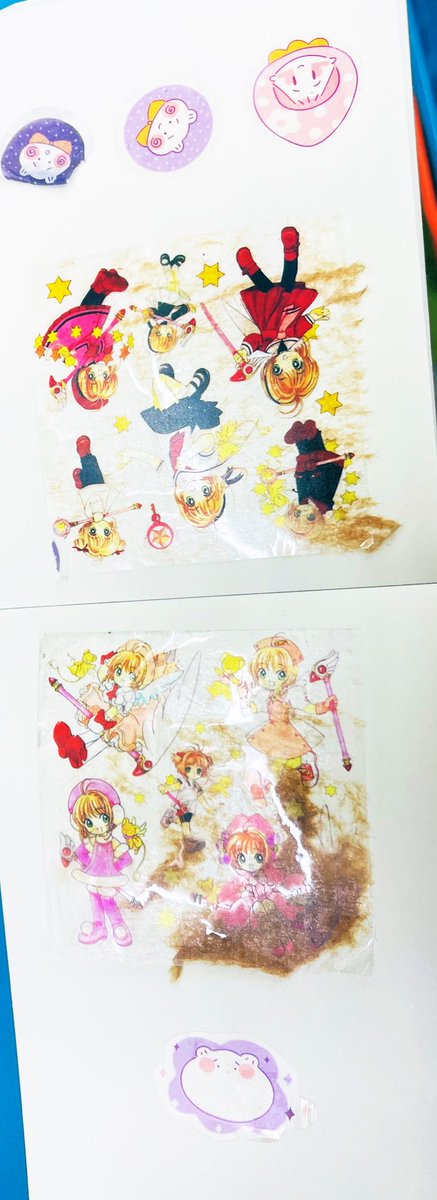 슈욤 the 슢숖샾 🧼🫧⌐ⓝ°ⓒ 🎵 청어#045🫧🐿️🐿️🐿️ tweet media