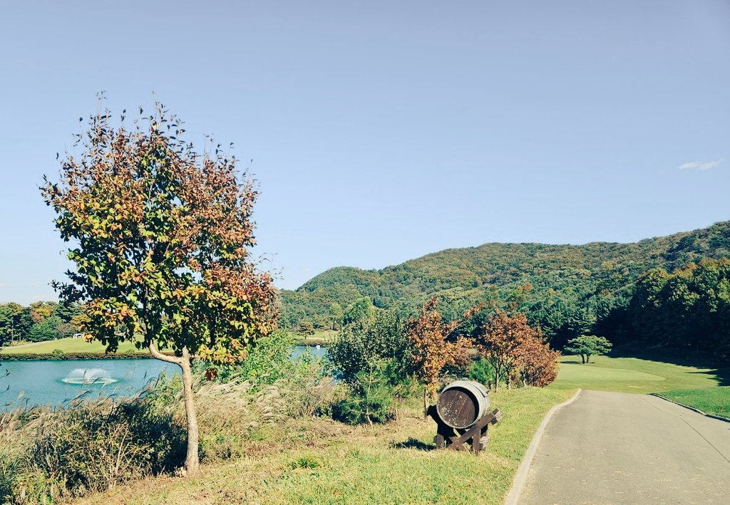 쓸쓸하고 축축한 날씨 덕분에 
이렇게도 답답한 주말을 보내고 있자니 
너무 억울해...

지금 내 일상의 유일한 낙인
라운딩을 못 나가니 처지기만 하고..

사실 추운 시기에 성향을 집중해서
(스팽의 계절)함께 하고,
시즌에는 같이 나갈 누군가가 있음
정말 좋긴 하겠네~~