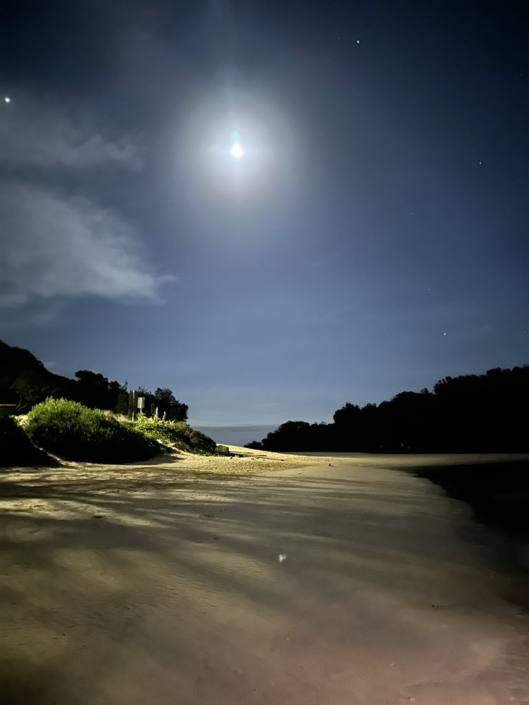 NewyBeachBum's tweet photo. Night beach walk. #HatHead https://t.co/Fo8EPiLzM5