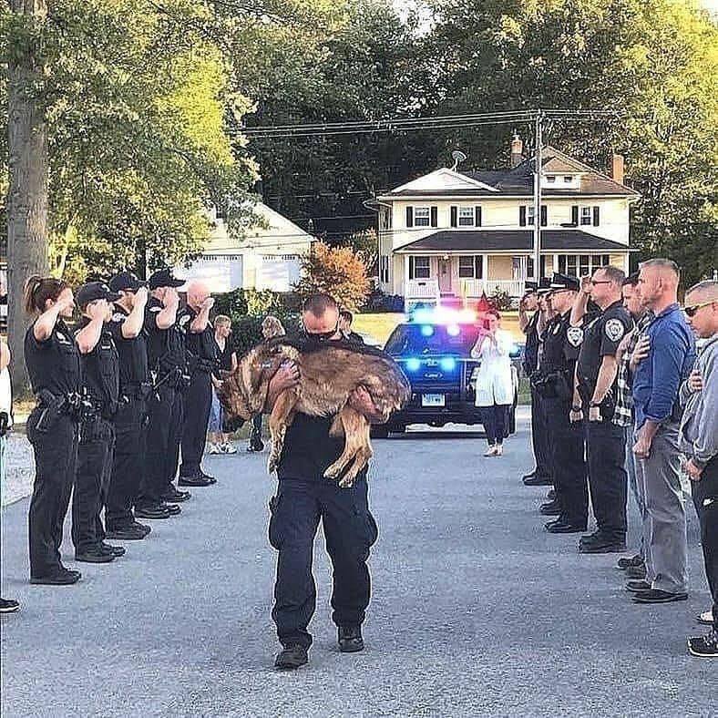 animaux_planete's tweet photo. Cette photo est si touchante 😔 Un officier portant son meilleur ami pour l'éternité...Tant d’amour et de respect pour cet officier spécial 🙏🤍 https://t.co/e9cVqMZ4qA