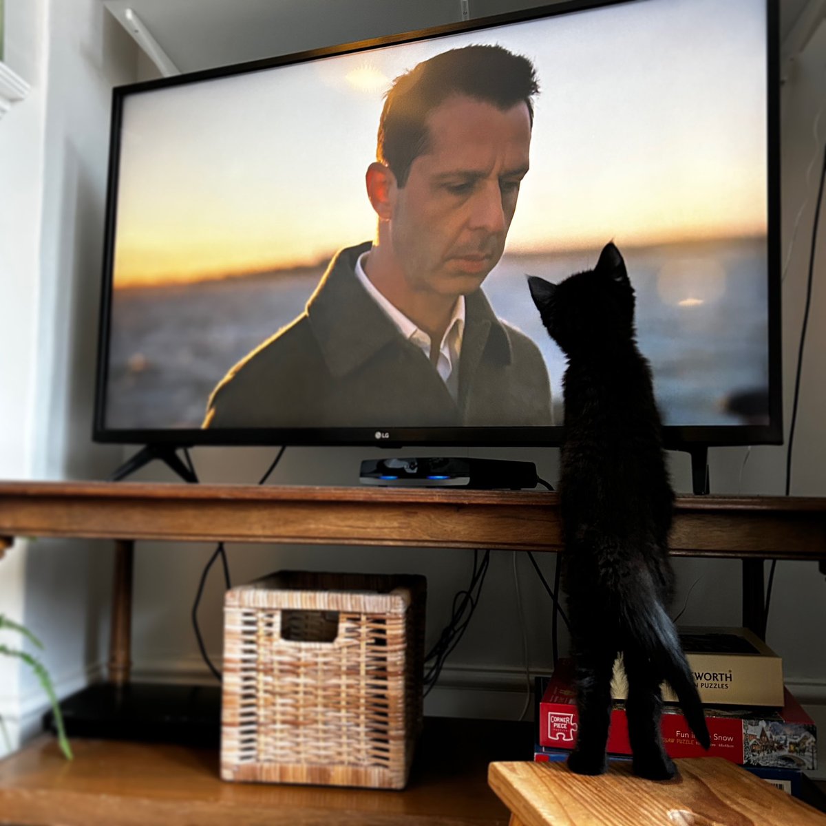 Bruce loved the #Succession finale. @succession 
#HBO #jeremystrong #teamkendall