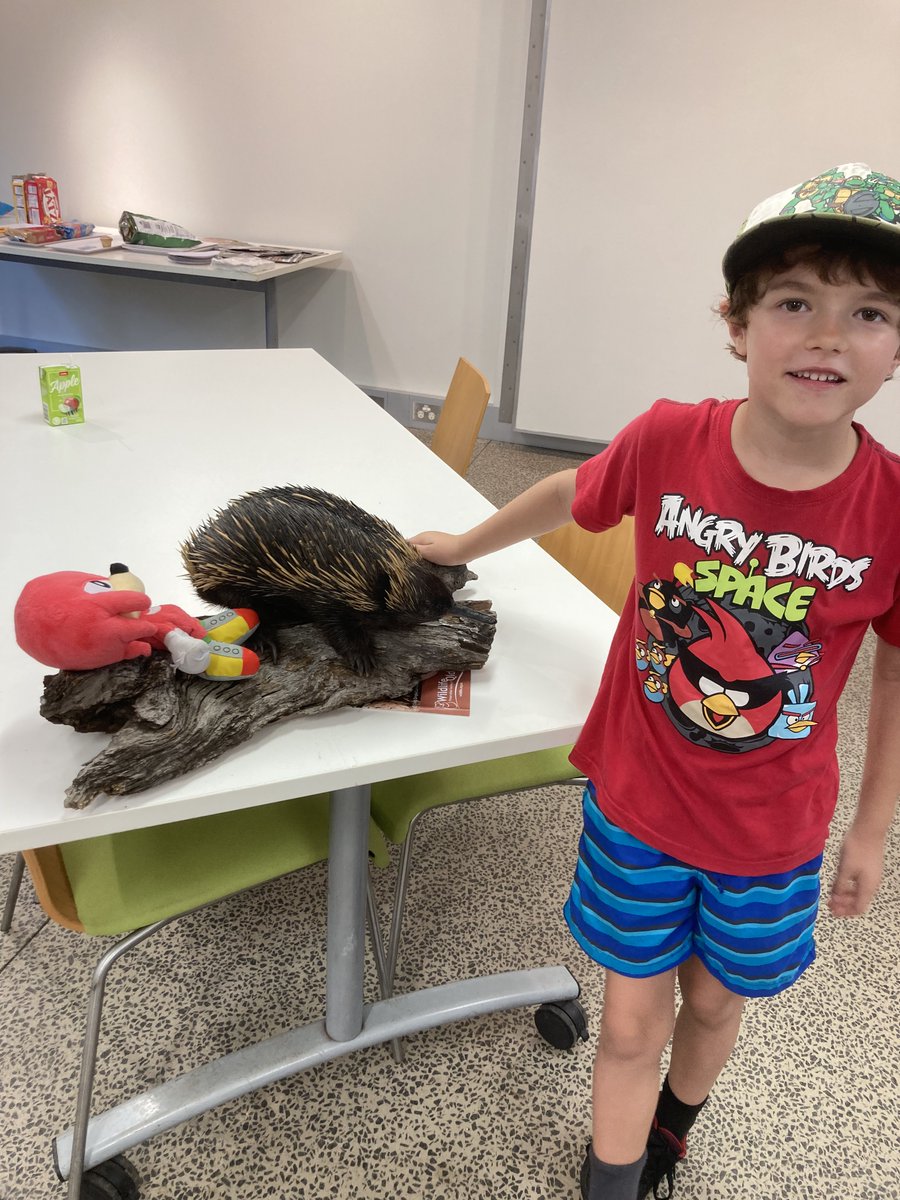 kate_regester's tweet photo. Another great #Echidna Explorers Workshop this morning. Had some amazing echidna artwork produced by this group.
If you in QLD and see an echidna, please report it to EchidnaWatch - https://t.co/vRQVvKtv94 https://t.co/vrimYrpUbR