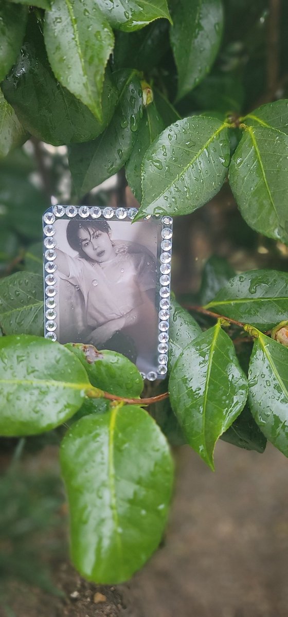 D-94 
비오는 날의 성운시 +10 ☁️
그 곳은 눈이 오려나? 뭐든 걱정 없이 편안한 토요일 오후 보내 ❤️
#하늘통신 #하성운_사랑해