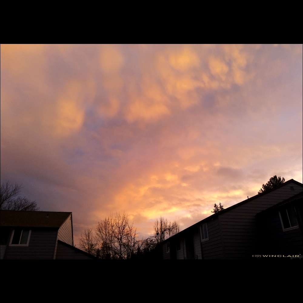 WinclairOrg tweet picture