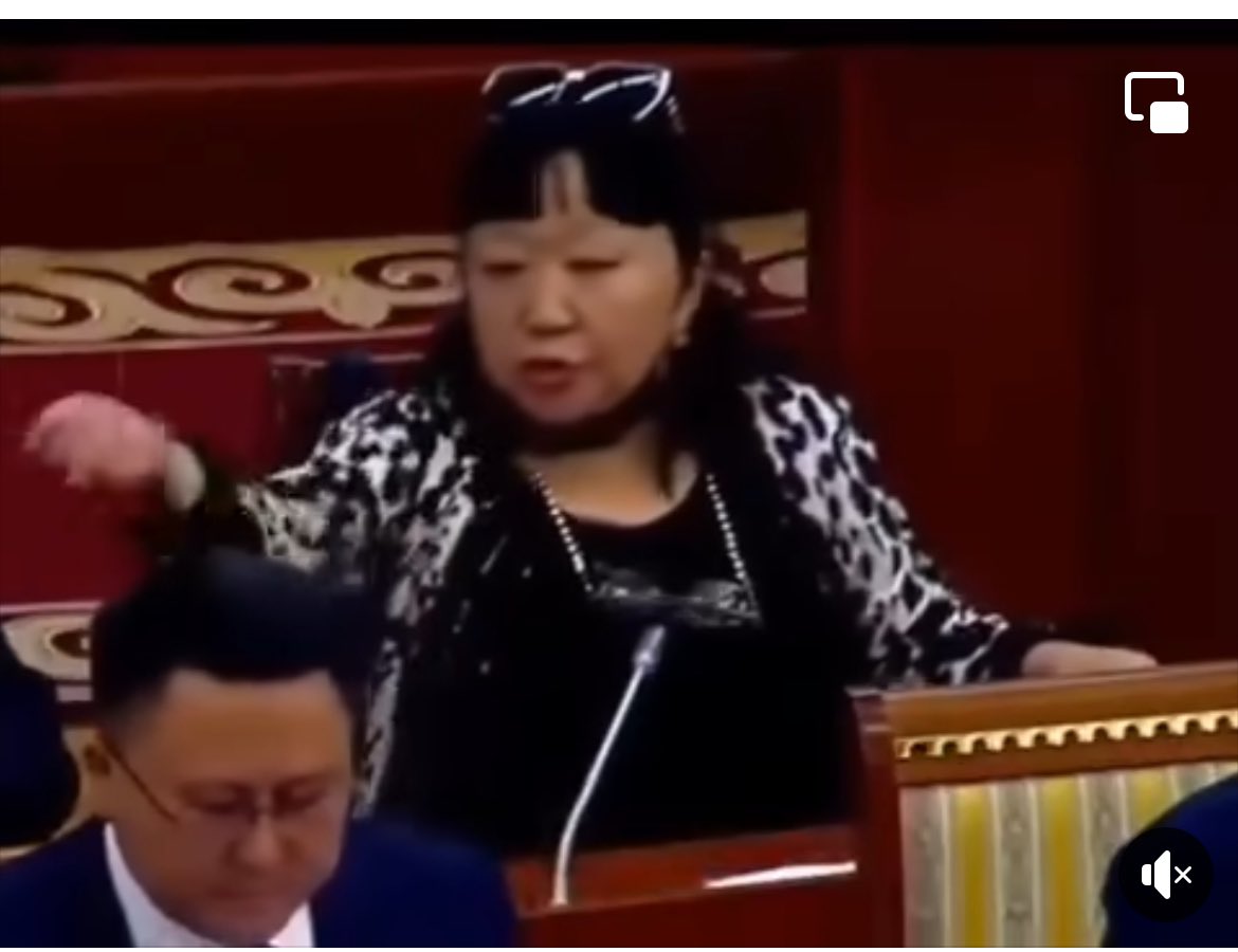 Энэ яг монголын бичлэг мөн үү?