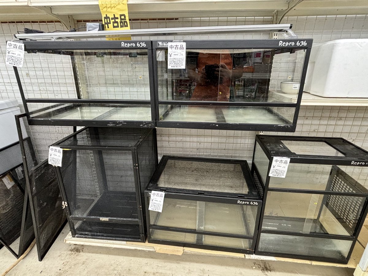 Kanedaiichihara's tweet photo. こちらの中古の爬虫類ゲージ特価につき¥3,278にて販売しております！60㎝規格のゲージがかなり安めです！気になる方は是非！ https://t.co/zxo3kLZvbc