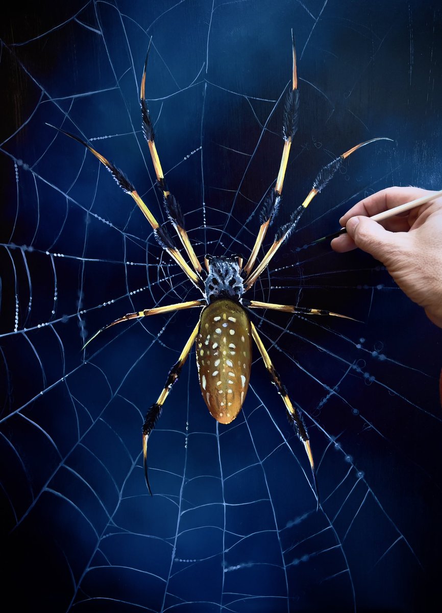 I have the most unusual commission on the go at the moment, it might not be a tiger, lion, elephant or leopard but it’s a Golden Orb spider….. still a vital and beautiful part of our whole eco system and just as important in the whole picture as us 😉 #goldenorb #spider #art