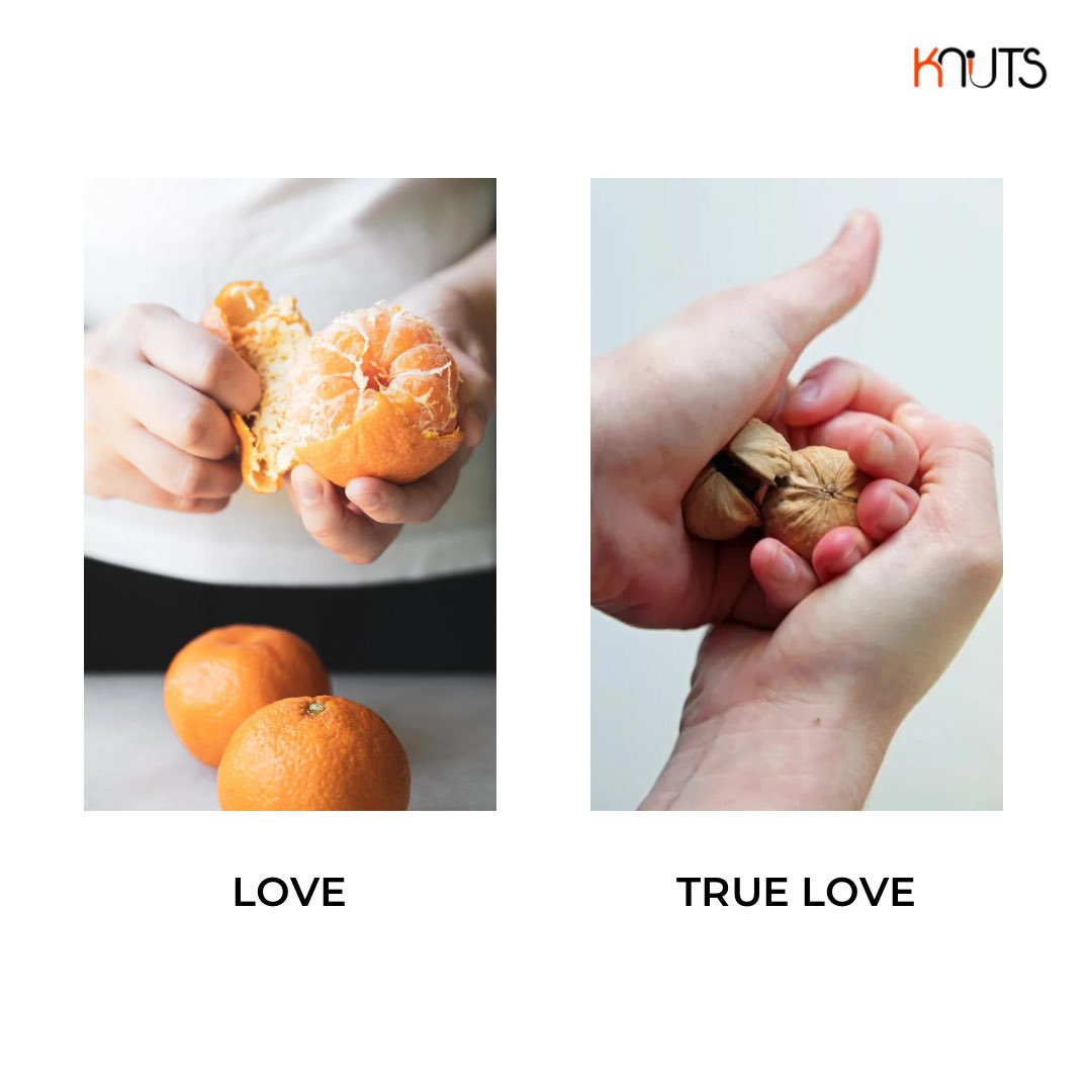 Knuts_in's tweet photo. If they truly love you, they’ll crack #knuts for you with their bare hands 🥹
#OrangePeelTheory https://t.co/MNulkruiPS