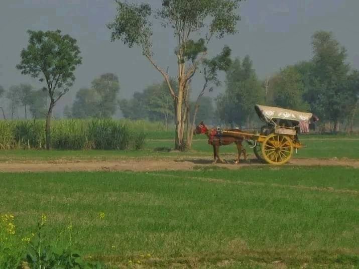 UrduVirsa's tweet photo. عادی  نہیں  شہر  کی  گنجان  راہوں کا
ہم  سادہ مزاج لوگ گاؤں میں رہتے ہیں
۔۔۔۔۔۔۔۔۔۔
آپ میں سے کس نے اس کی سواری کی ہوئی ہے؟ https://t.co/cMvrV2oIaw