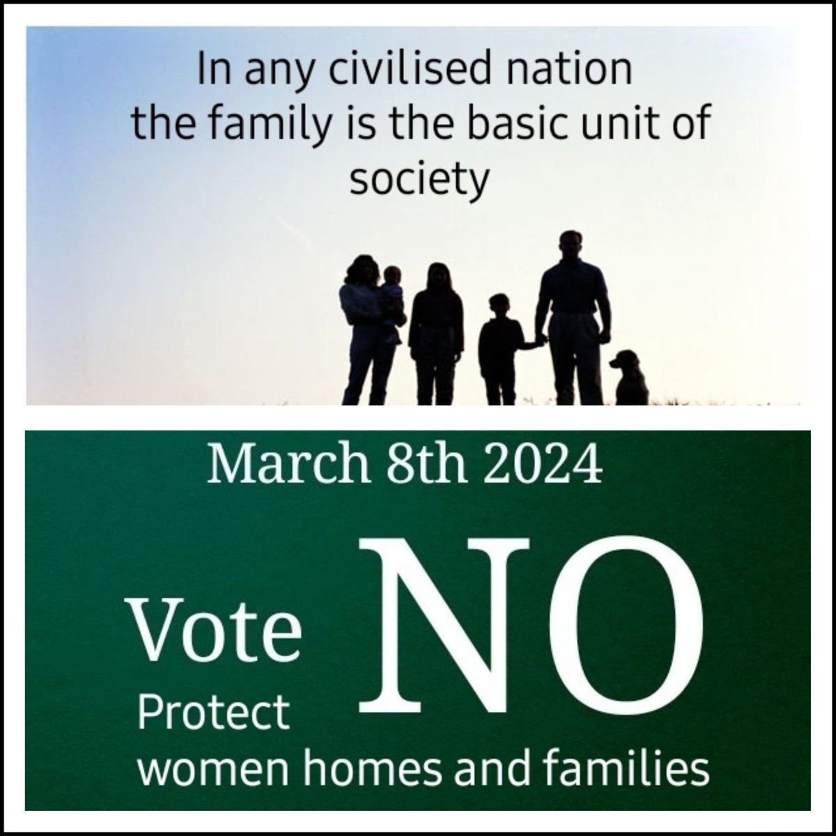 paddymacc1's tweet photo. The Irish government want to remove the words 
WOMAN 
FAMILY 
HOME 
from the Constitution.
On March 8th vote NO
#VoteNoRef24 https://t.co/UAwh0Q8QZM
