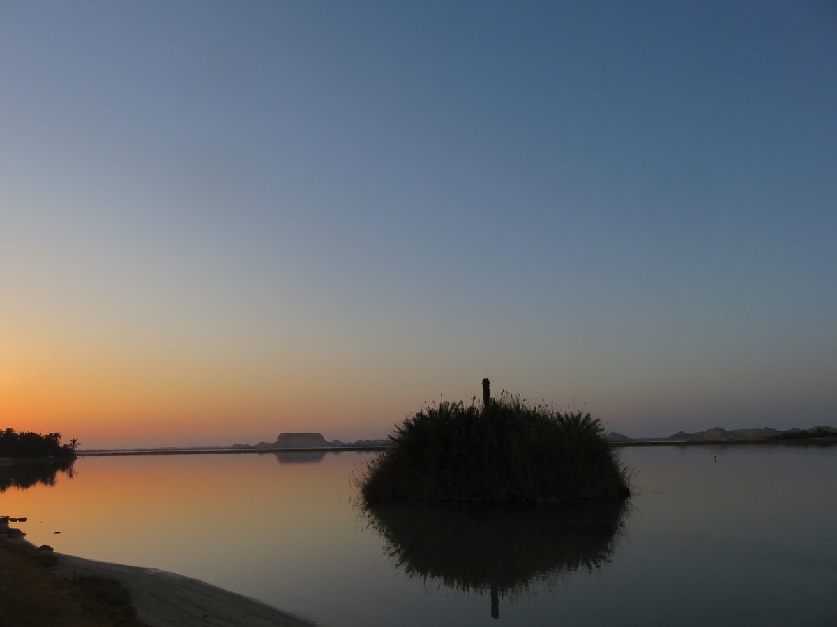 EgyptSusan's tweet photo. Siwa Oasis moments.

#Egypt #Siwa #Siwaoasis #TempleoftheOracle #naturalspring  #Westerndesert #sunsets #oasis https://t.co/VKUBPDiEVm