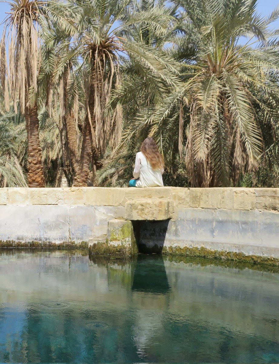 EgyptSusan's tweet photo. Siwa Oasis moments.

#Egypt #Siwa #Siwaoasis #TempleoftheOracle #naturalspring  #Westerndesert #sunsets #oasis https://t.co/VKUBPDiEVm