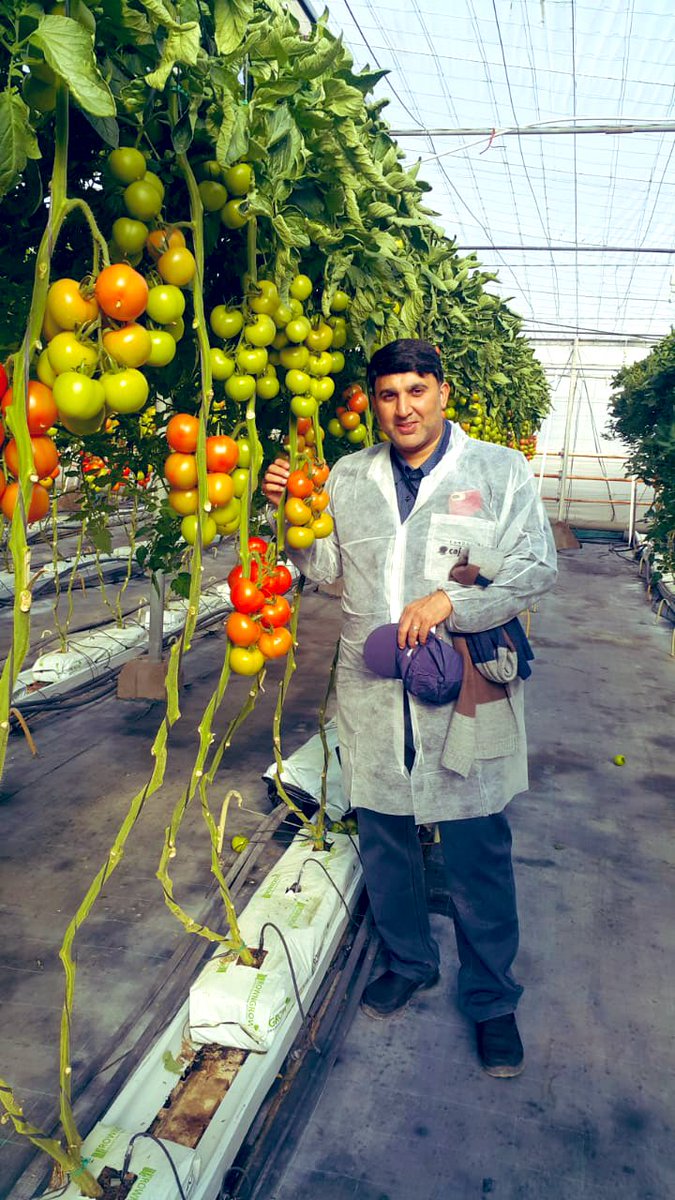 الزراعة الذكية هي منهج وأسلوب زراعي حديث يهدف إلى تطوير وتحسين منظومة الزراعة من خلال استخدام أقل مساحة بالأرض للحصول على أفضل إنتاج مع الحفاظ على الموارد الطبيعية.