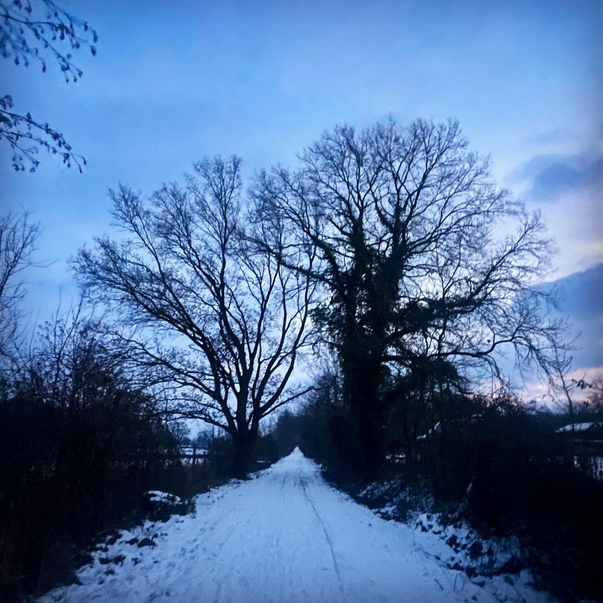 reinhartlinke's tweet photo. #KeinWinterdienst auf dem #Radwanderweg #Glinde-#Trittau war für meinen #10km Lauf diesmal gut: Auf dem #Schnee läuft es sich am besten. #joggen #brötchenholen #strava https://t.co/2NGu99zwJm #kreisstormarn https://t.co/vwZgbrAh72