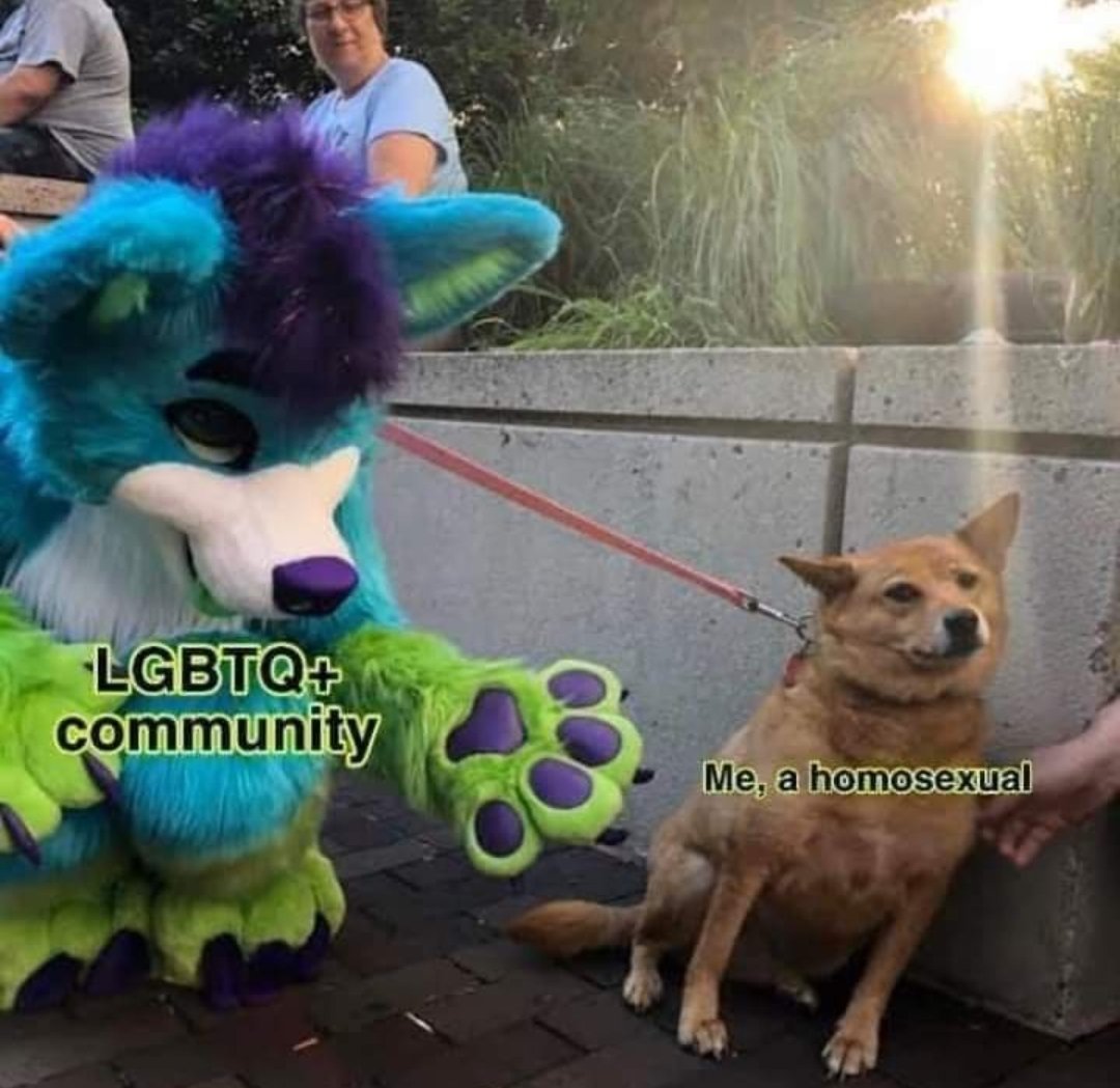 The_GayRedneck's tweet photo. Classic, yet topical, content 👌 https://t.co/6zZpjvlFki