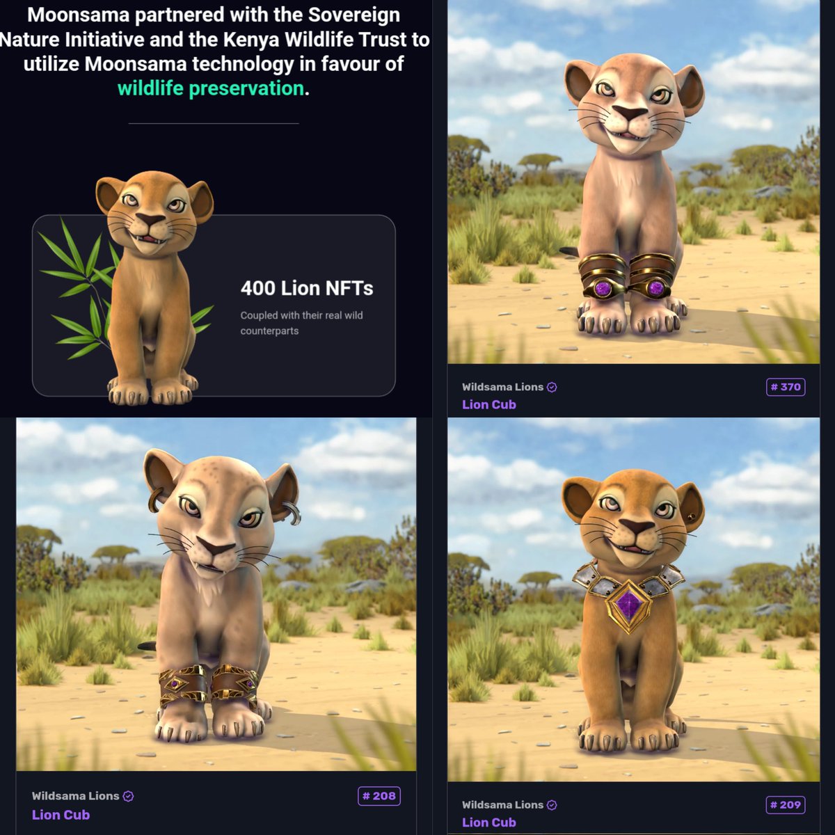 solarfeen's tweet photo. Proud owner of 3 @MoonsamaNFT #Wildsama NFTs.
Just in time for the raffle.
These are not your regular JPEG NFTs. They are assigned to real Lion cubs in Kenya.
NFTs evolve according to dynamic real-life eco-data.
Only 400 in the collection. https://t.co/OvL6Ov9t5A