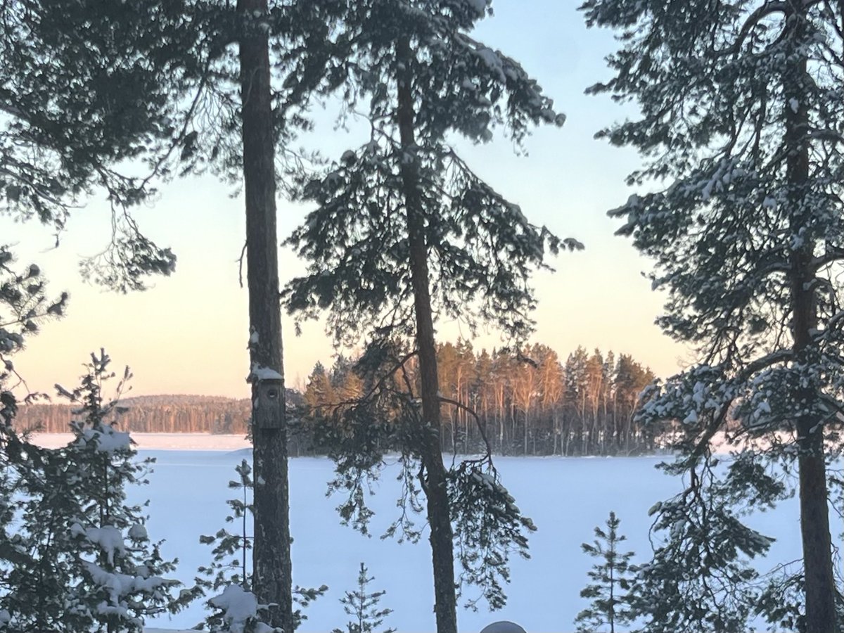 SarioTuula's tweet photo. Lauantaita eräkonttorilta. -23, feels like -32. Leukaluuta vielä juilii viikon takaisen hammasleikkauksen peruja, joten filtin alla ja takkatulen loimussa kirjan kanssa. Päiväsauna ja illalla ”lähikapakkaan” Kurun Solitary’yn syömään #chefsmenu’n. #elämäämaalla https://t.co/qPQic3FgNA