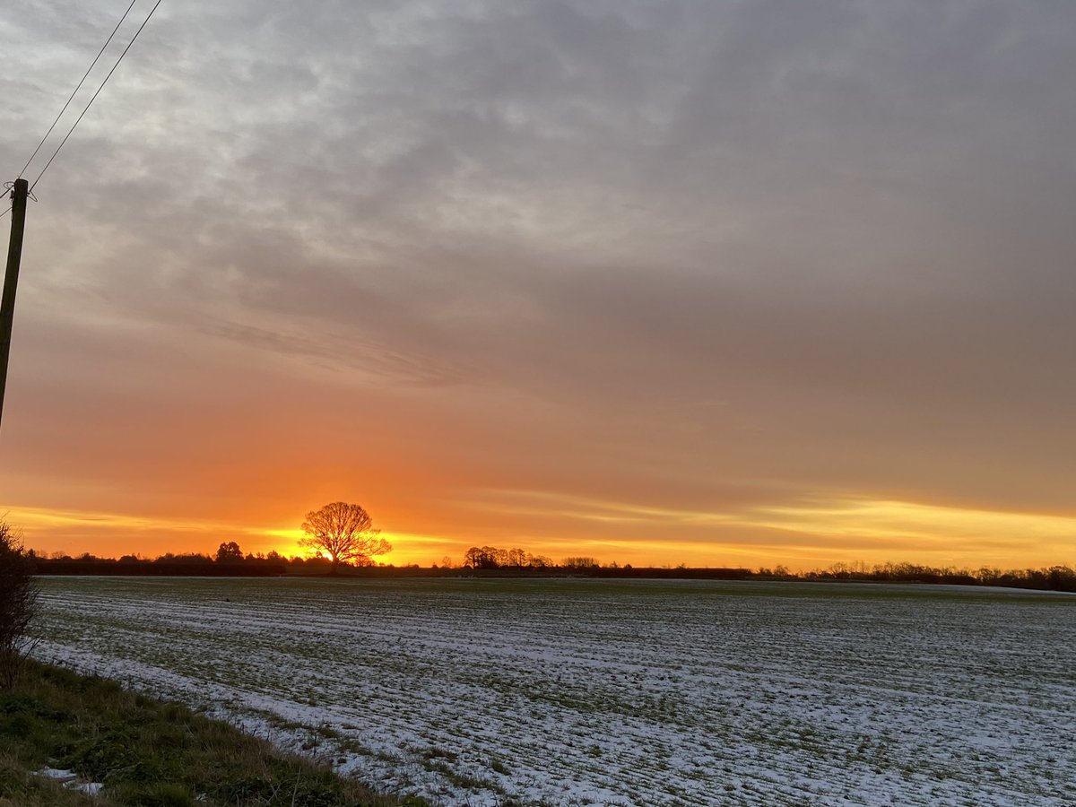 Charlotte Watlow tweet media