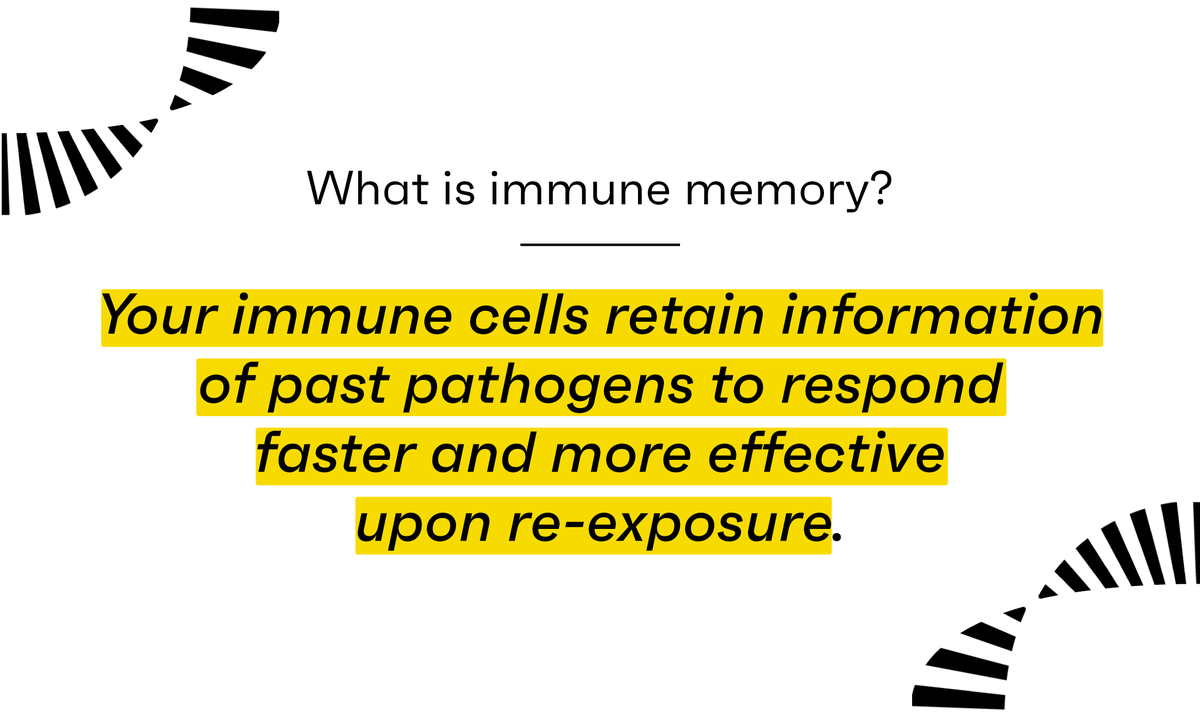 OmniscopeAI's tweet photo. Immune memory involves specialized cells like memory B cells and T cells. It provides long-lasting protection, vital for our body’s defense!
#ScienceIsWeAll #NoTCellLeftBehind #NoBCellForgotten https://t.co/LpuDFTjs7q
