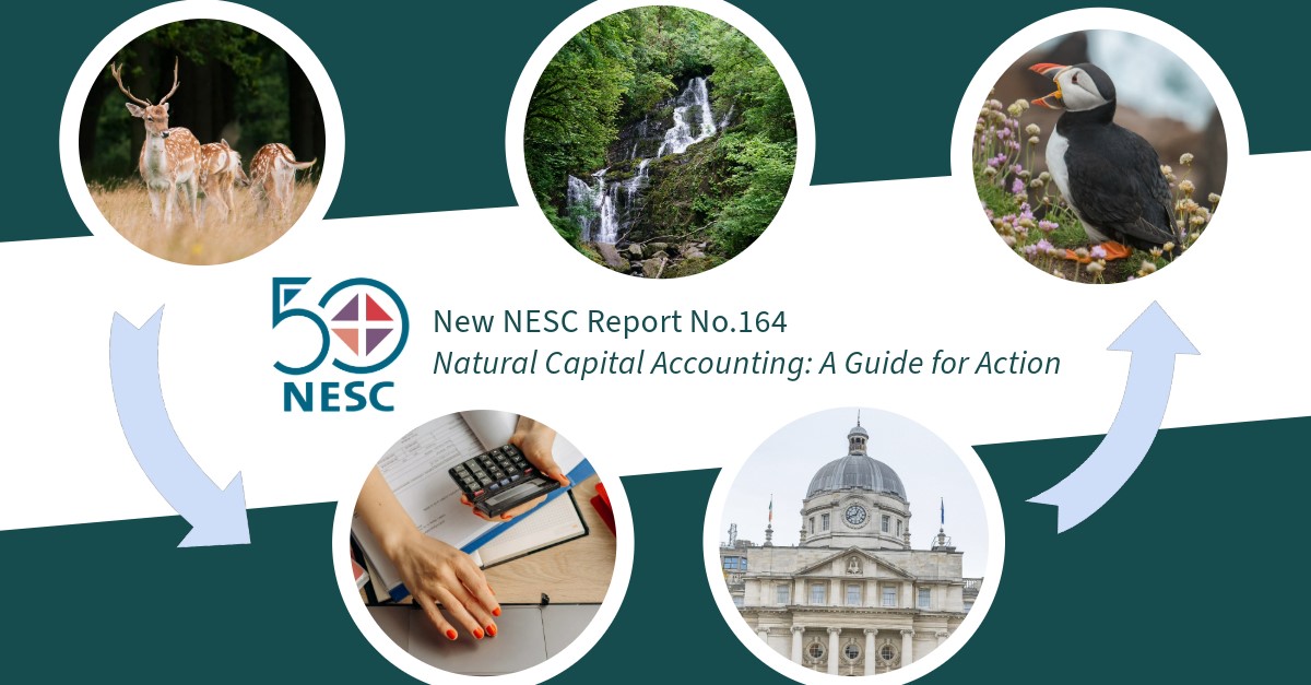 REPORT: How can we better account for nature? By request of Government and drawing on in-depth engagement with key stakeholders, facilitated by NCI, @NESCIreland addresses this in a new report, #NaturalCapitalAccounting: A Guide for Action: nesc.ie/publications/n…