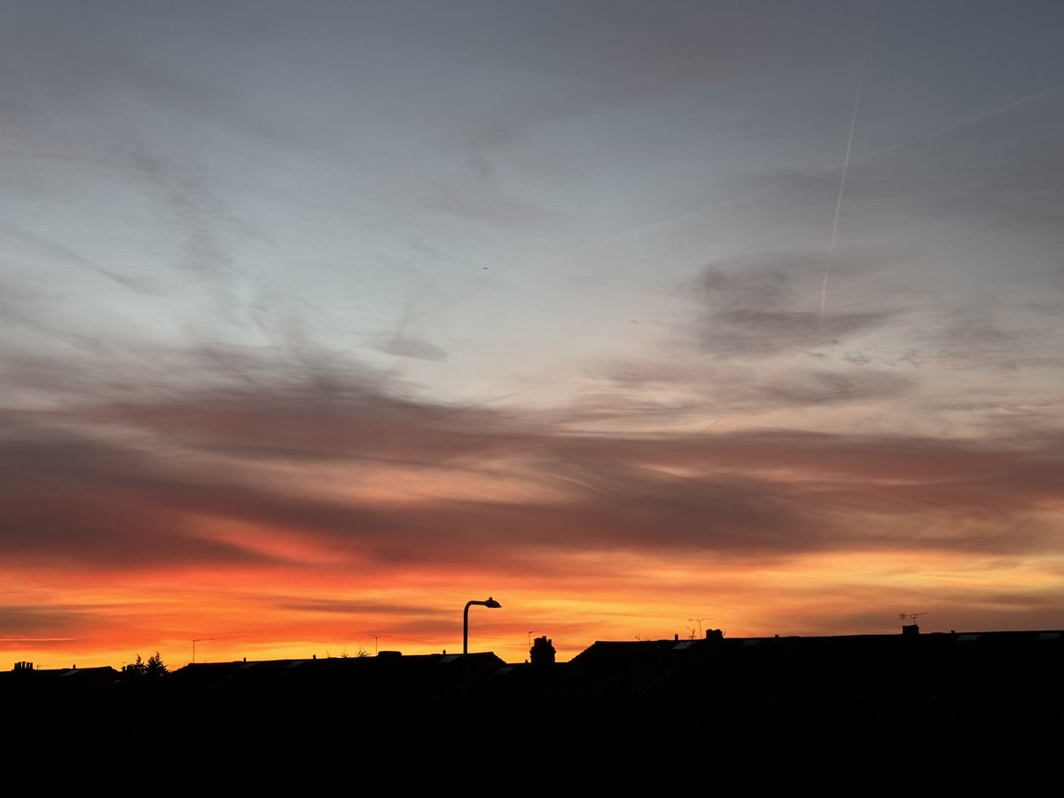 Chris Bush tweet media