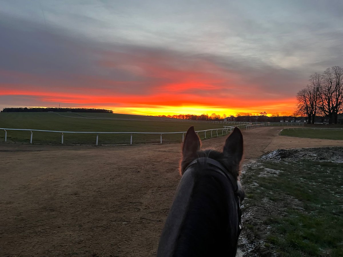 SPearce_Racing's tweet photo. #herecomesthesun☀️ #newmarket @NewmarketGallop #racehorses #horsesintraining #sunshine #coldday #saturdaymorning #saturdaymood✌️ #saturdayvibes https://t.co/8vwPISxqM8