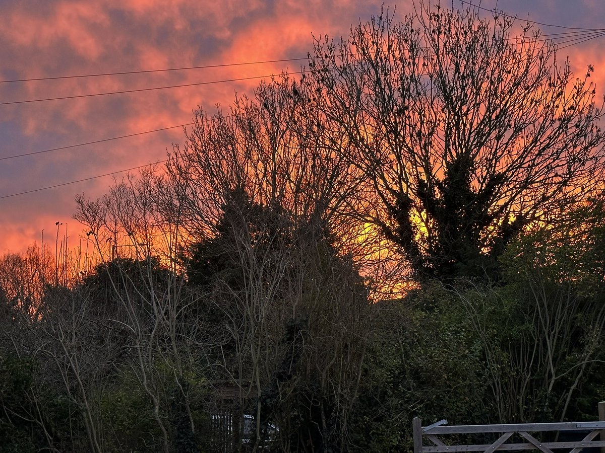 Pete Broughton tweet media