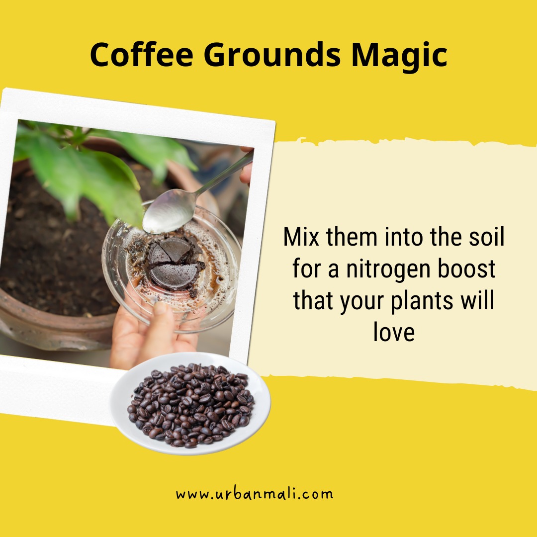 UrbanMali's tweet photo. Unlock the Secrets to a Thriving Garden with These Proven Hacks! 🌱

Calling all green thumbs! 🌞 Ready to level up your gardening game? Check out these practical and effective hacks that'll make your garden flourish!

#GardenHacks #GreenThumbTips #BloomsAndBeyond #GardenGlow https://t.co/H4YO4OOTWn