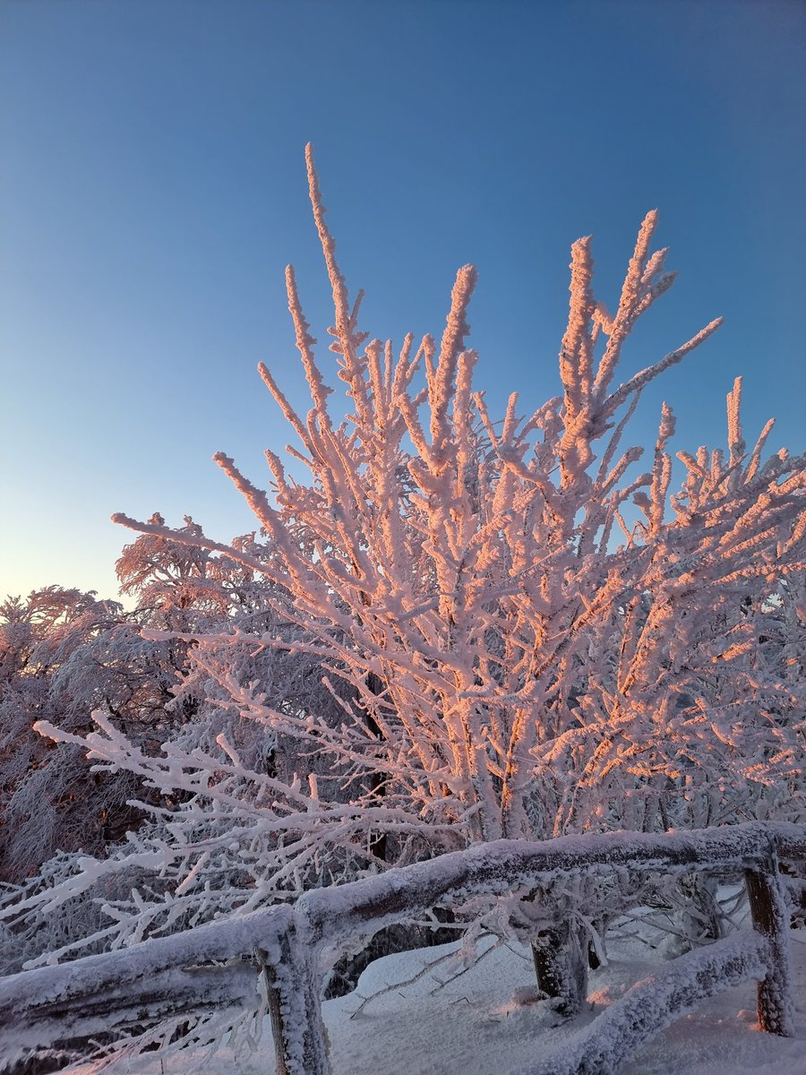 Traumhafter #Sonnenaufgang über dem #Feldberg im #Taunus! #Hessen