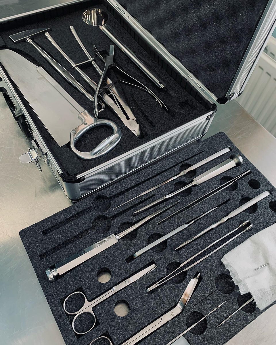 milleniumgray's tweet image. Давно вынашивал идею с патологоанатомическим тредом (и вроде как почему бы и нет). Еще и профпраздник отгремел вчера. И день выходной. Короче, сам Бог велел. 

A THREAD 🧵