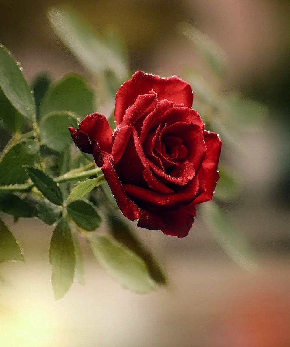 Hari ini aku mendengar lagi
Cerita tragis mendidihkan hati tertulis diantara sekian elegi
Tentang anak negri
Yang om menyuarakan nurani
Terjungkal rantai pasal
Yang mungkin diterjemahkan asal
suara eyangku terngiang 
"Tak ada gunanya bersuara 
Jika penguasa berhitung rugi laba"