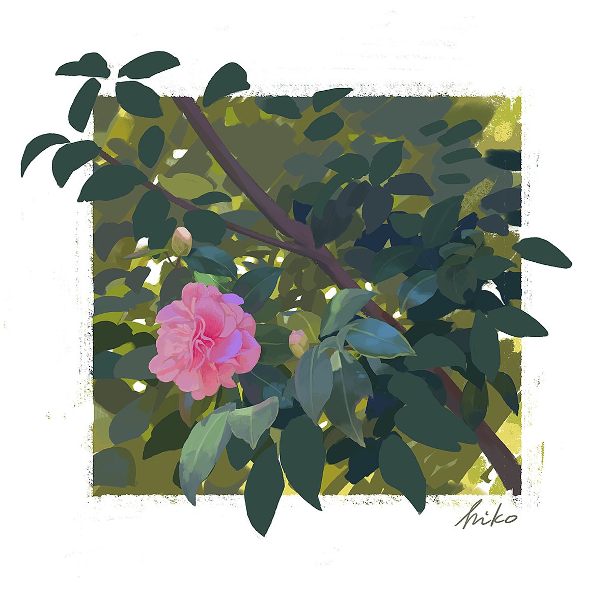 「お花のスケッチ」|hikoのイラスト