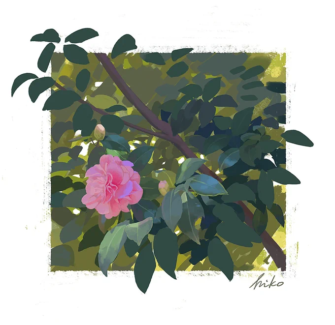 お花のスケッチ