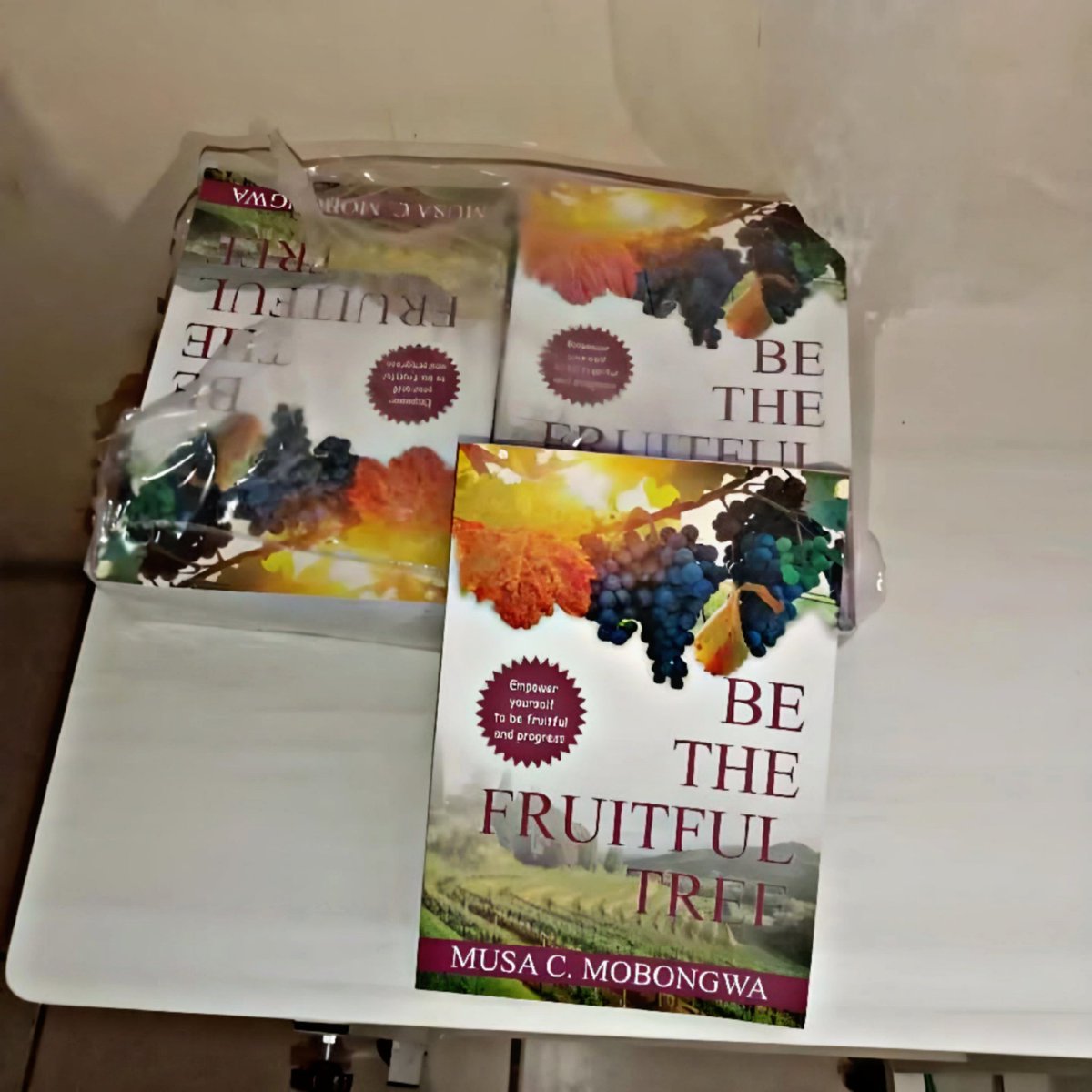 Musa_usss's tweet photo. Behind every successful man there's a word of encouragement.

I wrote this book to empower you for great things and success.

Copy R250
Free delivery (Nationwide)

DM me now for orders.

#podcastandchill #EFFPodcast Jacob Zuma Kairo Wits #UthandoNesthembu #PowerBallSA https://t.co/070ax4iA4B