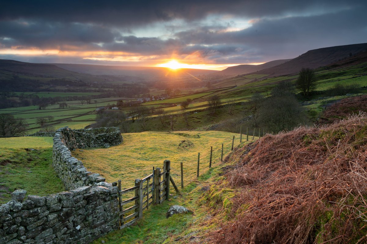 Rich Smith tweet media