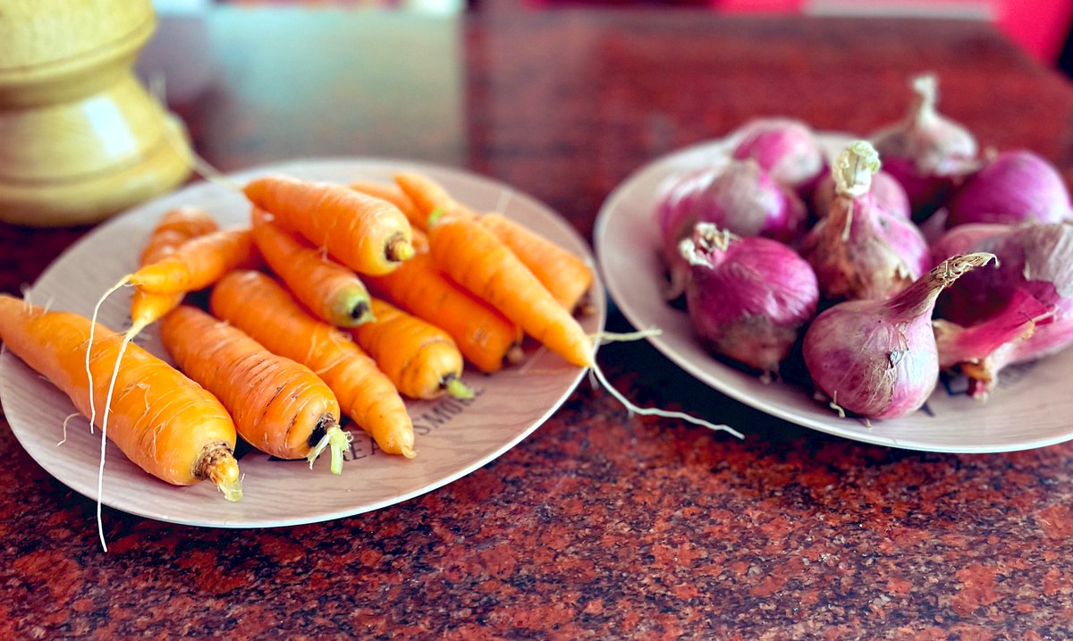 Harvest of the day! 👩🏾‍🌾🥕🧅
#AgInRwanda
#UrbanAgriculture
#BetterNutrition