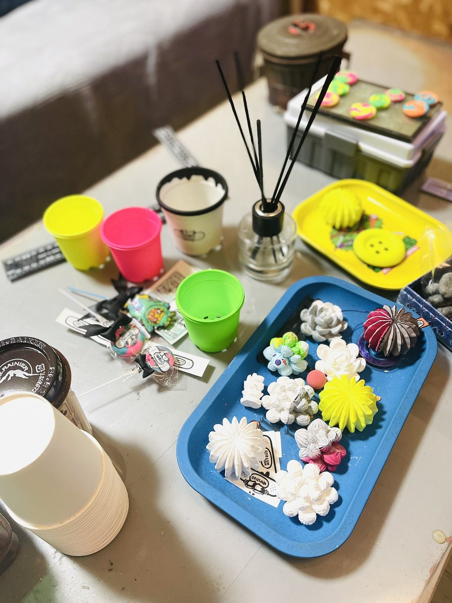 FrankenCustom's tweet image. 花友打合せ終了🧟‍♂️
色々話せて楽しかった😳
色々協力してくれて本当ありがたい😭

#花友フェス #多肉植物 #다육식물  #succulent  #plants  #echeveria  #リメ鉢  #franken_custom   #custom #BANSOCO #ばんそーこー