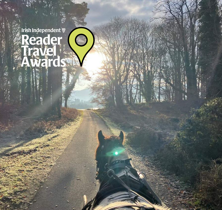 @poloconghaile tweet media